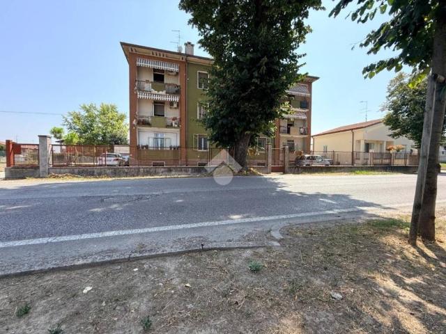 Appartamento in vendita a Vigasio VR