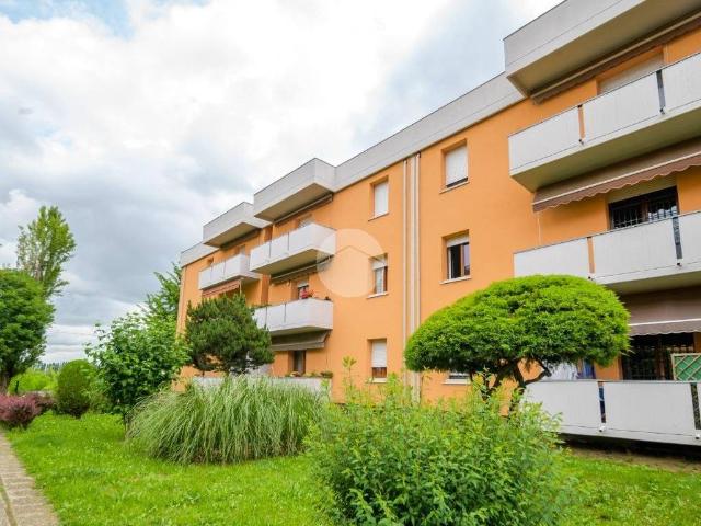 Appartamento in vendita a Zola Predosa BO