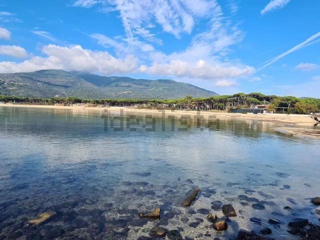 Appartamento in vendita di 43 m²