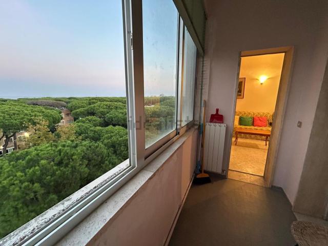 Appartamento in vendita di 45 m² in Viale delle Acacie