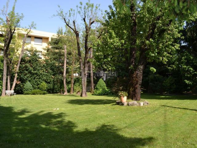 Appartamento in vendita di 53 m²