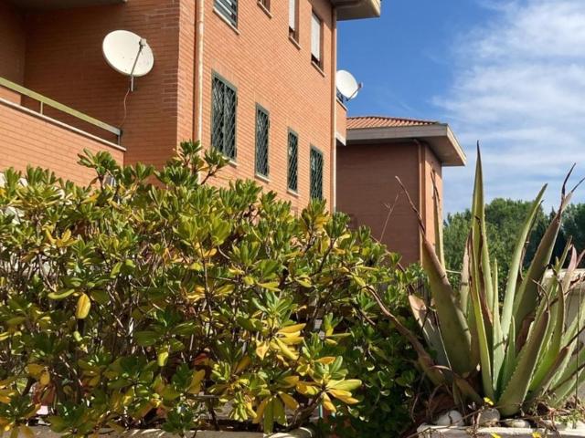 Appartamento in vendita di 50 m² in Strada Provinciale Maremmana Inferiore