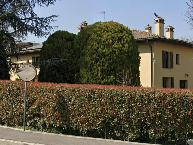 Appartamento in vendita di 50 m² in Via Larghe, 1
