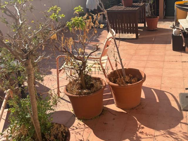 Appartamento in vendita di 50 m²