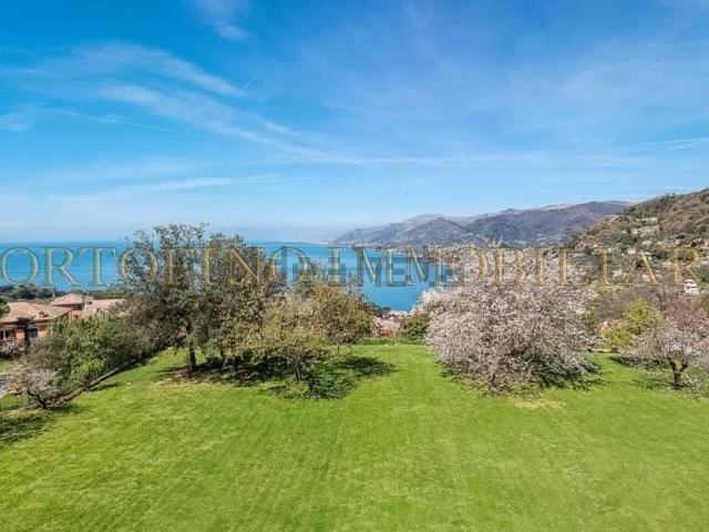 Appartamento in vendita di 521 m² in Viale Bellosguardo
