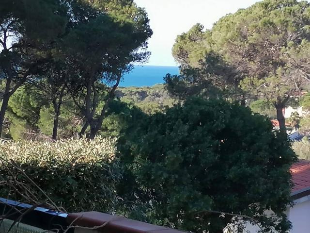 Appartamento in vendita di 54 m² in Via dell&apos  Edera
