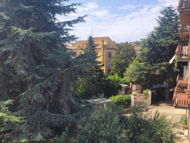 Appartamento in vendita di 55 m² in Via Giovanni Ignazio Molina, 10