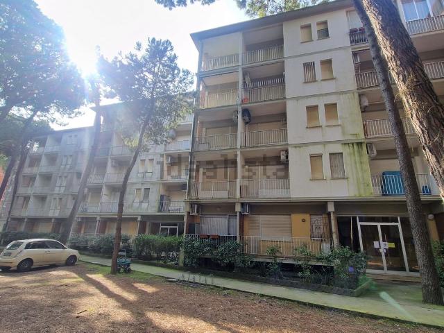 Appartamento in vendita di 55 m² in Viale dei Pini