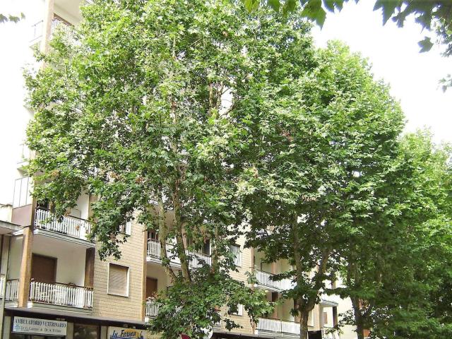 Appartamento in vendita di 55 m² in Viale Papa Giovanni XXIII, 5