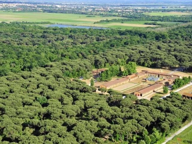 Appartamento in vendita di 60 m² in Via Tommaso Rook, 56122