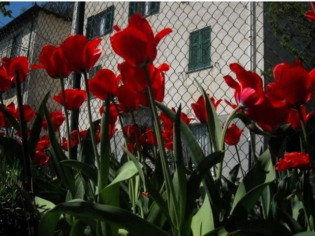 Appartamento in vendita di 60 m² in Via Borlasca, 77