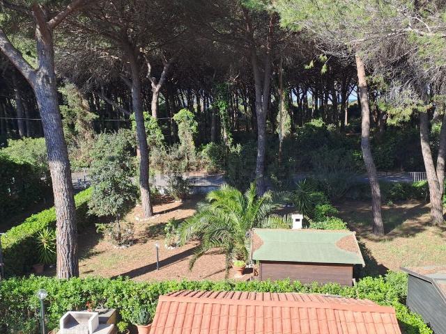 Appartamento in vendita di 60 m² in Via dei Cavalleggeri