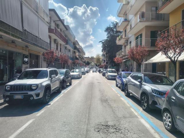 Appartamento in vendita di 619 m² in Via Ercole Cantone