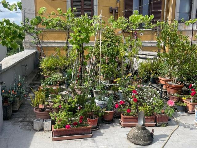 Appartamento in vendita di 61 m² in Via Avellino