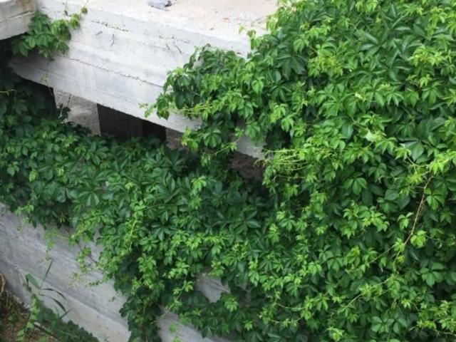Appartamento in vendita di 693 m² in Strada Provinciale 9