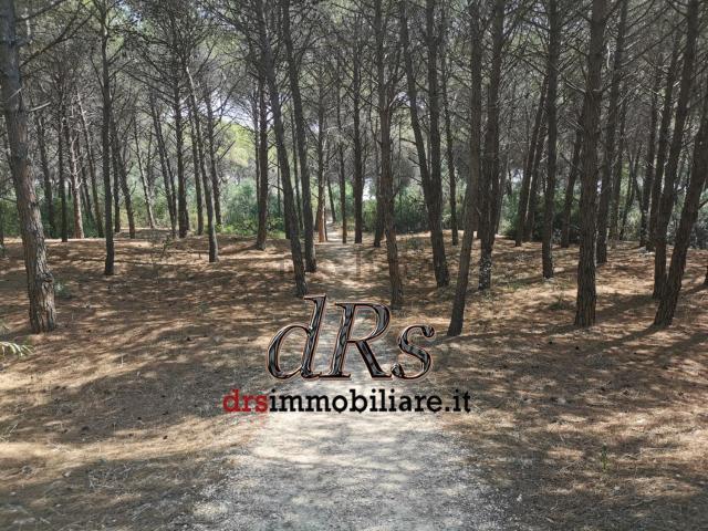 Appartamento in vendita di 70 m² in Contrada Le Dune, 10