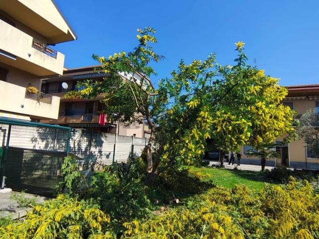 Appartamento in vendita di 70 m² in Via Umberto Tagliabue, 71