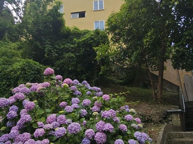 Appartamento in vendita di 70 m² in Via alle Sorgenti Sulfuree