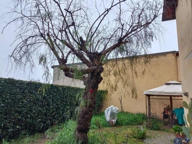 Appartamento in vendita di 71 m² in Via delle Miccine