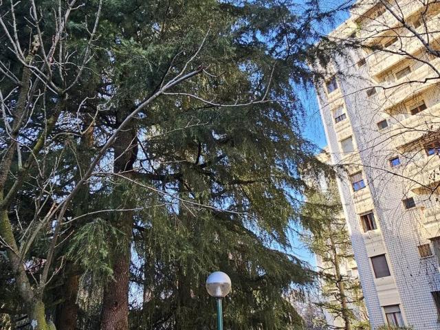Appartamento in vendita di 77 m² in Via Molinetto di Lorenteggio