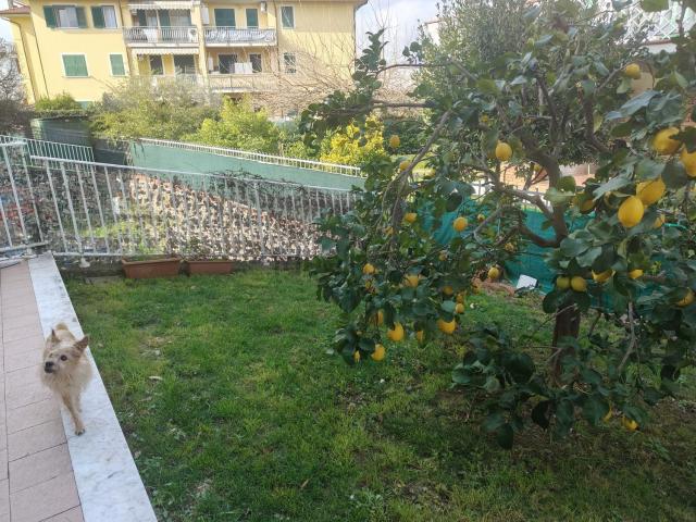 Appartamento in vendita di 75 m² in Via Giuseppe Ungaretti