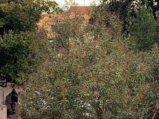 Appartamento in vendita di 75 m²