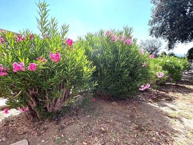 Appartamento in vendita di 80 m² in Via della Capraia, 2