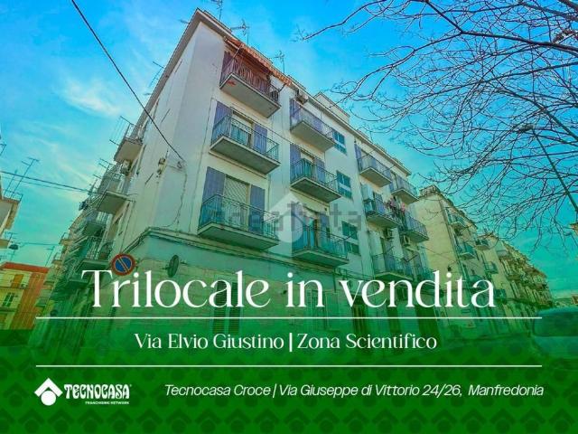 Appartamento in vendita di 87 m² in Via Elvio Giustino, 43