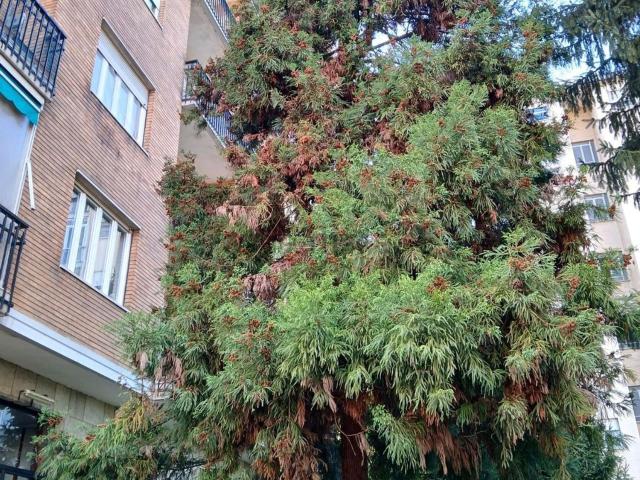 Appartamento in vendita di 84 m² in Corso Antony, 34