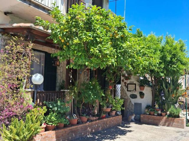 Appartamento in vendita di 93 m² in Via di Rebibbia, 39