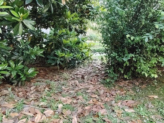 Appartamento in vendita di 90 m² in Via Temistocle Calzecchi, 6