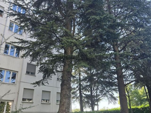 Appartamento in vendita di 90 m² in Via Decorati Al Valor Militare, 10