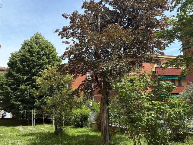 Appartamento in vendita di 100 m²