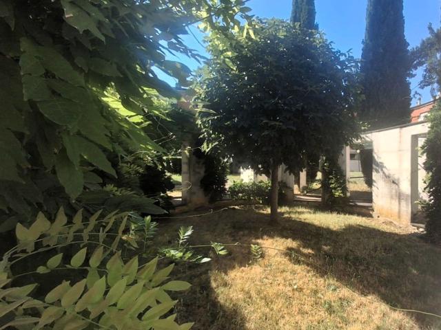 Appartamento in vendita di 100 m² in Via Maestro da Signa
