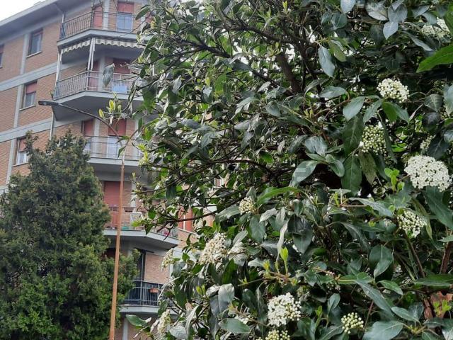 Appartamento in vendita di 104 m² in Via gonzaga