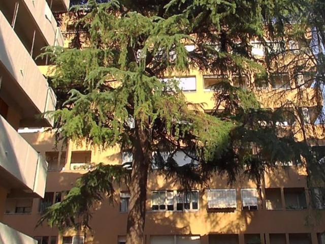 Appartamento in vendita di 105 m² in Via Pompeo Vizzani