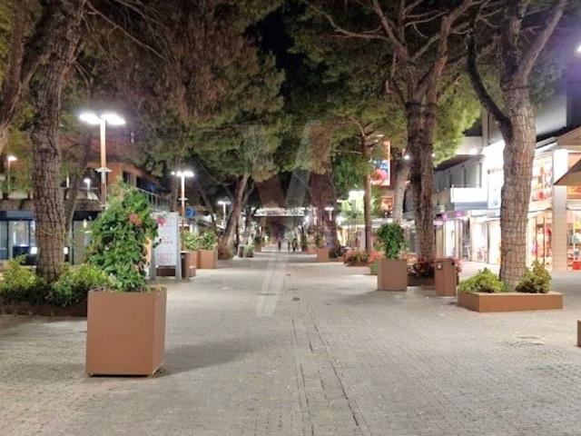 Appartamento in vendita di 105 m² in Viale Maria Ceccarini
