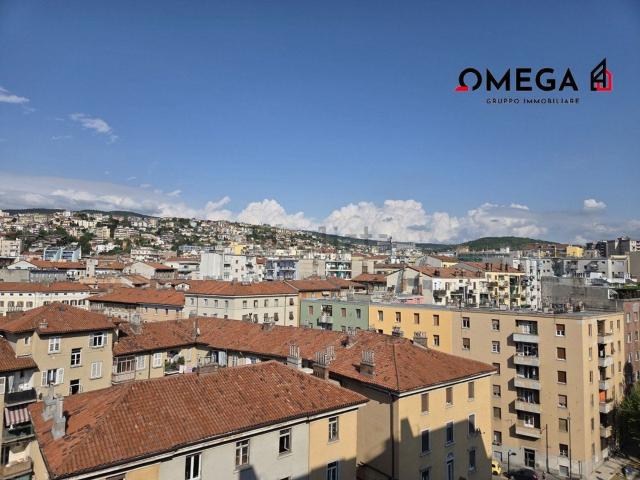 Appartamento in vendita di 110 m² in Viale Gabriele D&apos Annunzio, 29