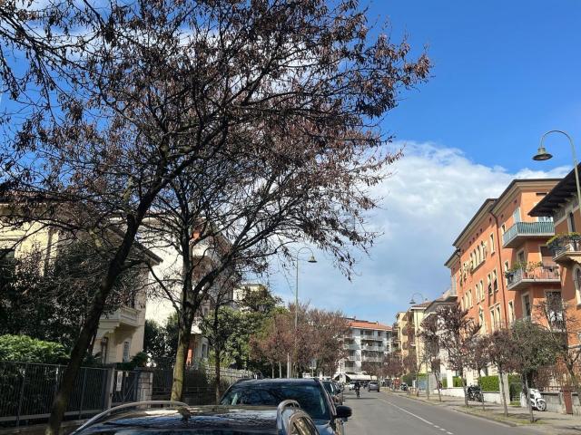 Appartamento in vendita di 115 m² in Via Bezzecca