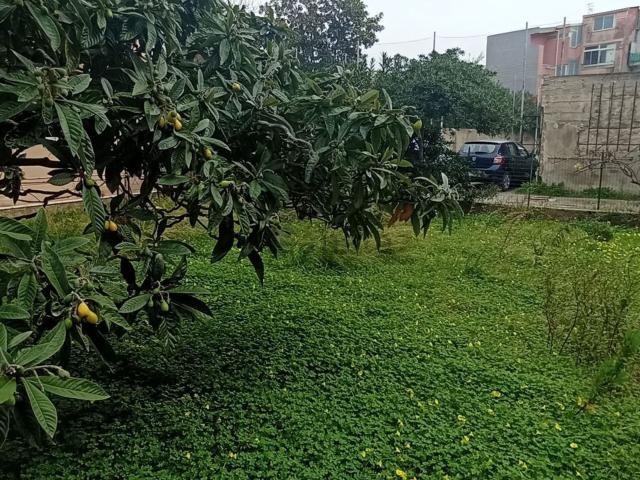 Appartamento in vendita di 115 m² in Via Scuole, 46