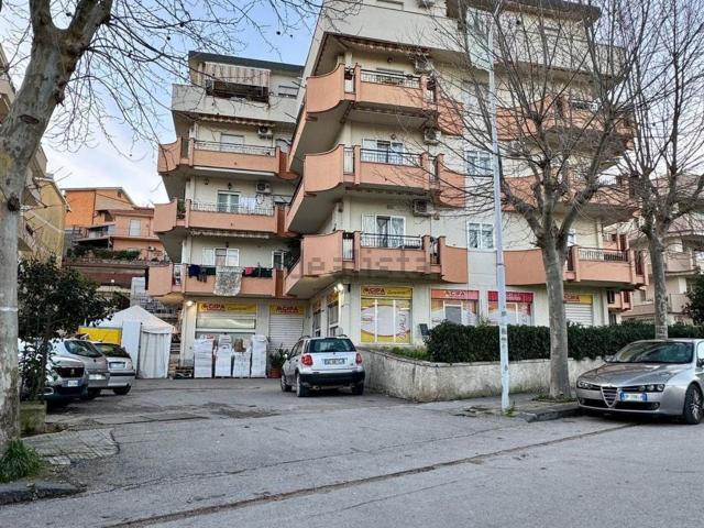 Appartamento in vendita di 115 m² in Viale dei Platani, 92