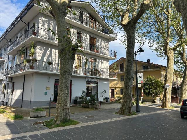 Appartamento in vendita di 116 m² in Viale Sabino Cocchia