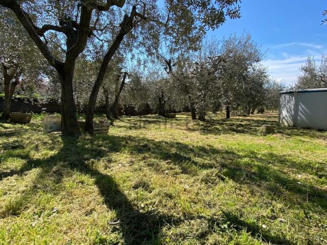 Appartamento in vendita di 120 m² in Via Eugenio Montale