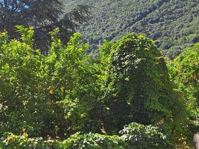 Appartamento in vendita di 120 m² in Via per Calice