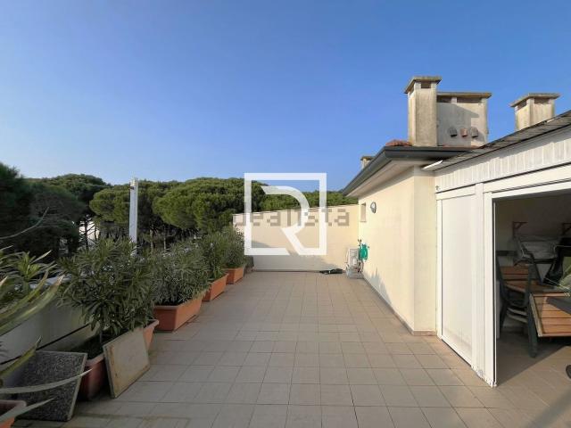 Appartamento in vendita di 121 m² in Viale delle Conifere, 18