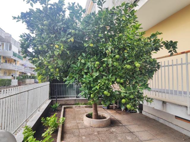 Appartamento in vendita di 120 m²