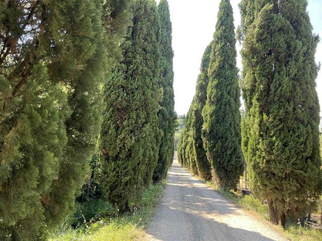 Appartamento in vendita di 130 m²