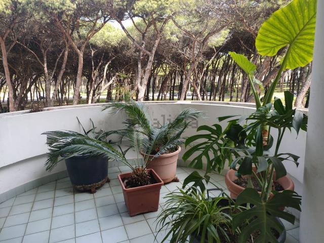 Appartamento in vendita di 130 m² in Via Isole Salomone, 12