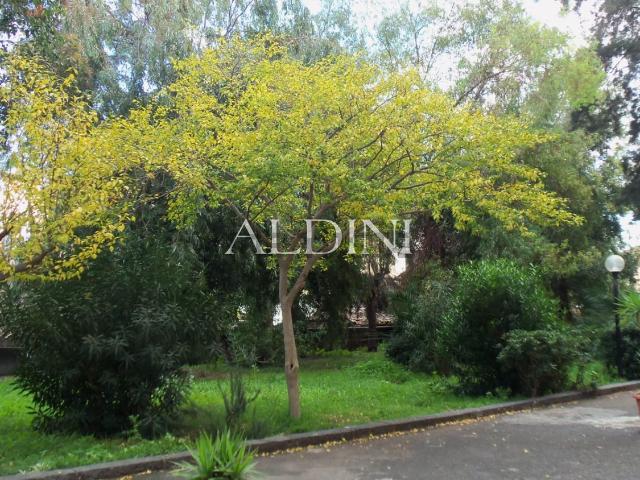 Appartamento in vendita di 130 m² in Viale delle Medaglie D&apos Oro