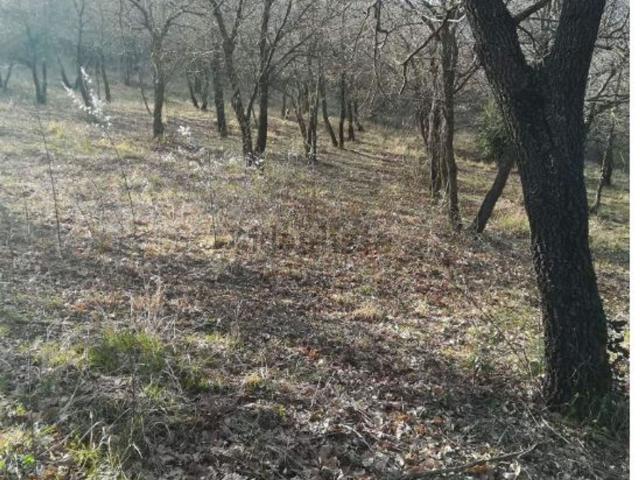 Appartamento in vendita di 139 m² in Via Trieste